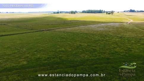 1015 HA no RS MARINETI.00_02_44_24.Quadro024_59f0e2f693e0541e692011d80c1807e79db0e745.png